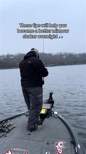 Essential Tips for Successful Minnow Fishing