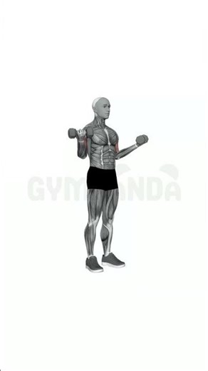 Dumbbell Hammer Curl - Perfect Form Guide #shorts