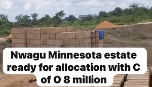 8.1K views · 172 reactions | Nwagu Minnesota estate getting ready for allocation with C Of O only 8 million. 11 plots left for this one to be sold out, join the progress future minded billionaires to live in a peace of mind Aera For more details Call the customer service number 08132541813 | Nwaguatahihia motors LTD USA - Chukwukeme Okechukwu Kingsley | Facebook