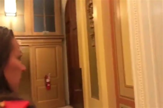 A buried video shows Ashli Babbitt arriving inside the Capitol just moments before Michael Byrd shot her on January 6. She is seen calmly talking with officers while a friend offers them water, with no signs of aggression. | In Blonde Theory