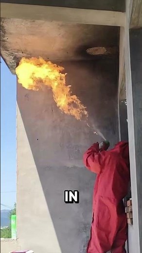 Bee Apocalypse Hits Town! 😱🐝