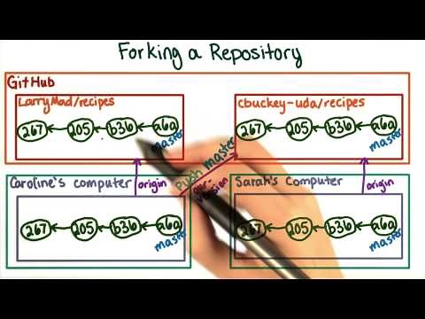 Forking a Repository - How to Use Git and GitHub