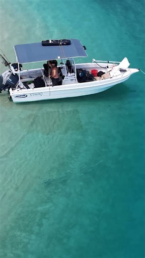 My mates bought a boat and asked me to help deliver it to the Tip of Aus. 500 miles in 7 days. A stretch of coastline I’ve done a few times now. Each time exploring new areas . Learning more. Loving it more. The whole trip is packed into 45 mins for you live on YT right now . See ya in the comments 🤙🏝️ Az | Back 2 Basics Adventures
