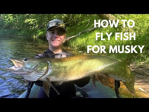 HOW TO FLY FISH FOR MUSKY