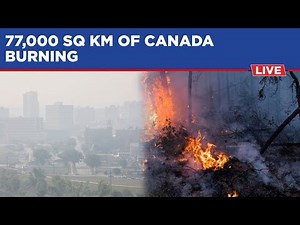 Canada Wildfires Live: British Columbia Blaze Spiralling Out Of Control| 77,000 Sq Km Area Burning