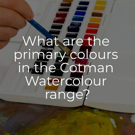 The six primary colours for the colour mixing system in our Cotman Watercolour range are: Lemon Yellow Hue, Cadmium Yellow Pale Hue, Ultramarine, Intense Blue, Permanent Rose and Cadmium Red Hue. | Winsor & Newton