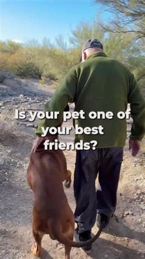 21K views · 525 reactions | Did you know that spending time with a pet can do more than just bring joy? Studies show that companion animals can help lower stress, boost heart health, and even improve longevity. Whether it's the calming presence of a cat or the boundless energy of a dog, our furry friends play a big role in our well-being. Learn more about the science behind the pet-human bond in my blog at the link in my bio. | Andrew Weil, M.D. | Facebook