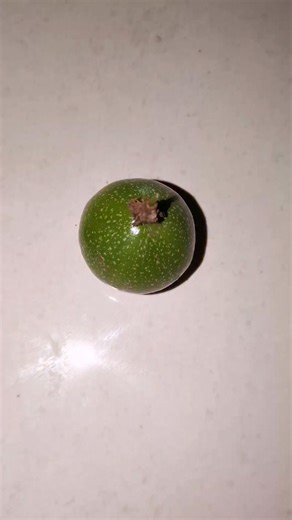 Naim Cutting | Amazing fruit cutting skills 🍒 | Instagram