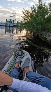 Pipe dream 😮‍💨 #snook #snookfishing #topwater #fyp #fishtok | Sommertime Outdoorss