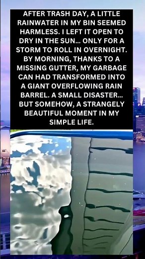 When My Garbage Can Became an Unexpected Rain Barrel