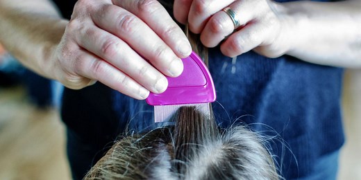 Best nit and head lice treatments - Which?