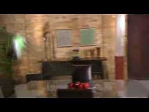 WowWee Flytech Dragonfly Commercial