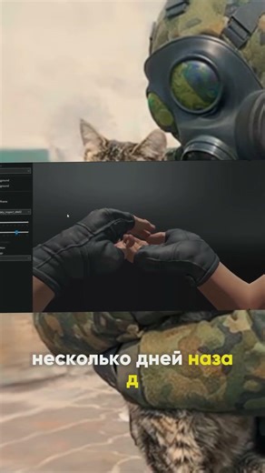 Pets in CS2 #cs2 #cs2 #csgo