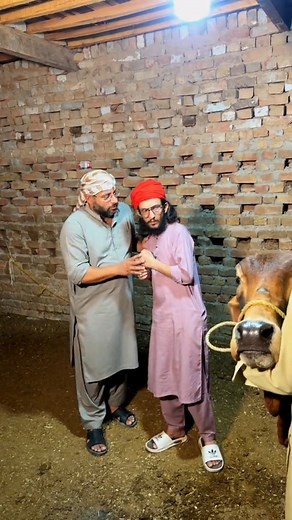 Qurbani ka janwar beech ker bijli ka bill ada kia 🥺 #bhejafry20 #tichbutton #sargodha #motivationalvideo #bakraeid #qurbani #part1 | Tech Button