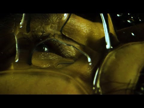 Sega Bodega - Only Seeing God When I Come (Official Music Video)