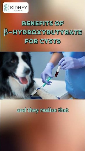 Benefits of Taking Beta Hydroxybutyrate Supplements For PKD Patients | #BHB #Supplements #PKD