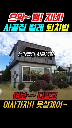 지네와 뱀 시골집 벌레 퇴치하는 최강의 방법 #착한부동산