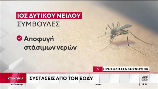 Κουνούπια: Οι συστάσεις από τον ΕΟΠΥΥ