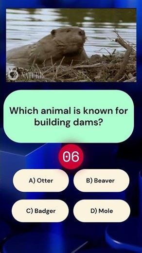 What Animal Is Famous for Building Dams?🦫