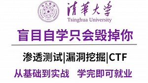 【零基础学网安】清华大学强强联手打造的网络安全教程！整整600集！全程干货 实战教学，学完变大佬！这还学不会我永久退出安全圈！