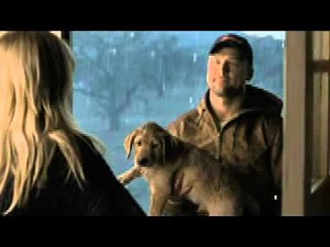 What video storytellers can learn from Budweiser's Super Bowl Puppy Love ad