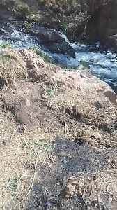 21K views · 315 reactions | #SOMETIMES MONGA BODIBA OF MORULA SUN STOPS WATER FROM FALLING AT THE WATERFALLS | Les Mpete | Facebook