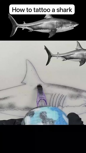 Jonas Delacruz | Realistic shark tattoo tutorial, 🦈 ctto #dutduterobrothers #tattoo #tutorial | Instagram
