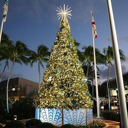 32' Majestic Mountain Pine Commercial Christmas Tree