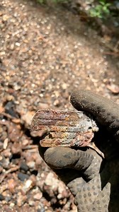 67K views · 898 reactions | Exploring an abandoned U.S. Military base! #history #metaldetecting #explore #digging #WWII | NCDiggins | Facebook