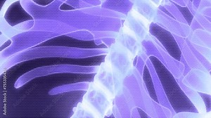 animated moving motion background showing anatomy of a human body skeleton structure