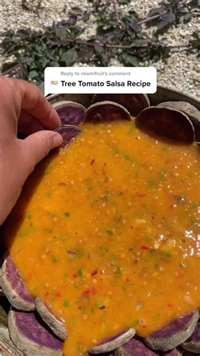 Colorful Fruit Ingredients Available at MiamiFruit