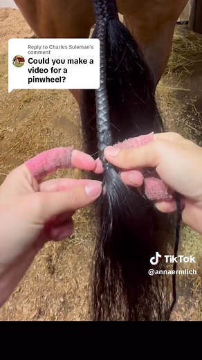 Delicious Pinwheel Tortilla Wraps: A Farm Animal Inspired Recipe