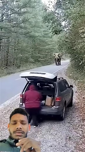 Jahir Khan on Instagram: "#trending #elephant😱 #car"