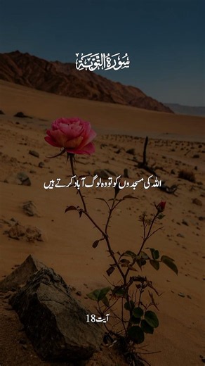 Surah At-Tawbah Full Tilawat | Heart-Touching Quran Recitation | Official Video