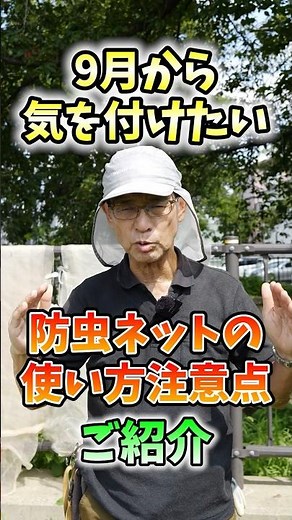 家庭菜園や農園の秋冬野菜栽培で防虫ネットの正しい使い方！害虫から野菜を守る秘訣と秋冬野菜の育て方！【農家直伝】#shorts