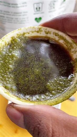 Benefits of moringa powder for man health and weight gain የሞሪንጋ ጥቅም ለወንዶች