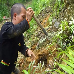 73K views · 1.7K reactions | Dwarf Family on Reels | Facebook