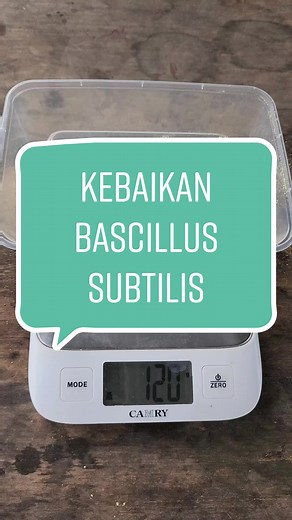 Benefits of Bascillus Subtilis in Organic Agriculture