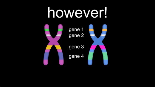【17分钟看完基础生物】一个视频了解基础生物学！
