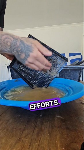 High grade gold ore crushed and processed! | Vo-Gus Prospecting