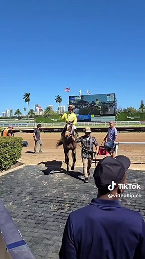 Live Racing Highlights from Gulfstream Park