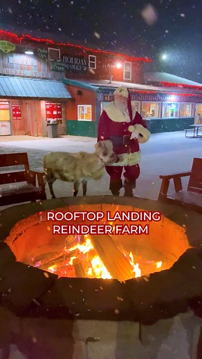 1.2K reactions · 398 shares |  Michigan's #1 Christmas Experience!✨ Join us this Sat & Sun for the most magical season at Rooftop Landing! ️ Tickets: rooftopreindeer.com ❄️ Nov 15: Frozen Theme Day  Nov 16: Jeep Lover's Day  Open select Dates through Dec 23  Clare, MI | Rooftop Reindeer | Rooftop Landing Reindeer Farm | Facebook