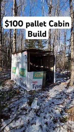 Building An 8x8 Pallet wood Cabin For CHEAP