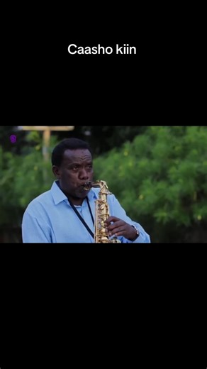 Understanding Creator Search Insights in Video Trends