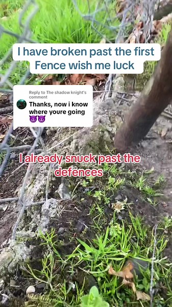 DARK GNOME on TikTok