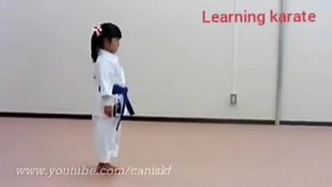 9.2K views · 267 reactions | Heian Nidan  | Learning Karate | Facebook