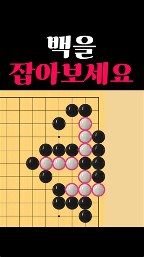 쉬운 바둑 사활 - 99% 실수하는 문제