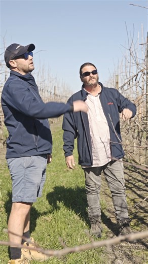 16K views · 89 reactions | From his family farm in South Africa to...