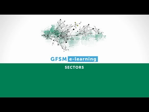 Sectors of Government Finance Statistics