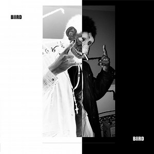 BIIRD Concert & Tour History (Updated for 2026) | Concert Archives